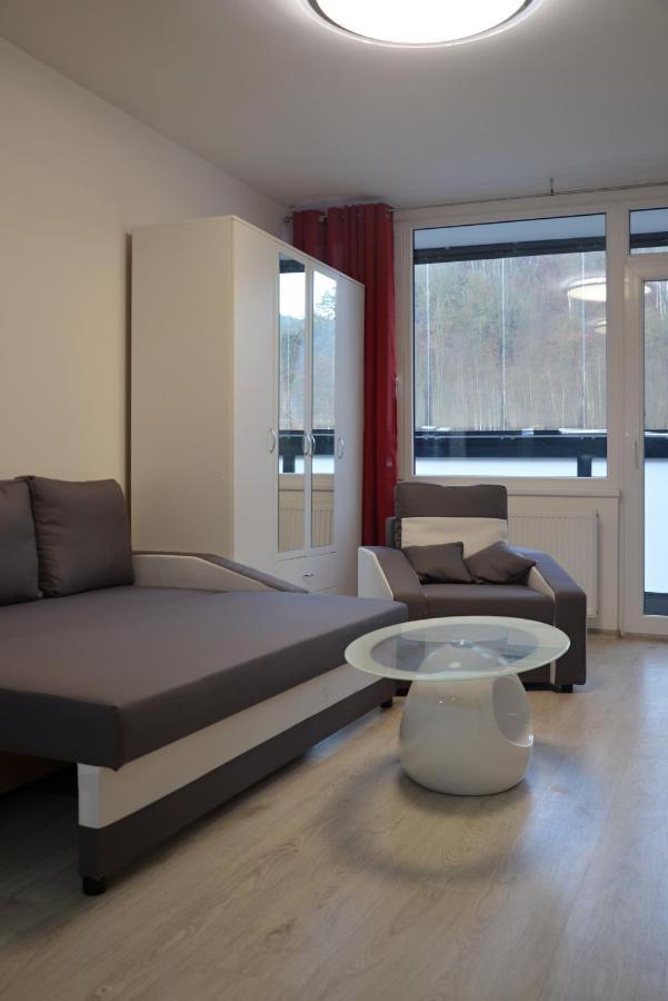 Utulny Apartman V Centru, S Krasnym Vyhledem Decin Exterior photo